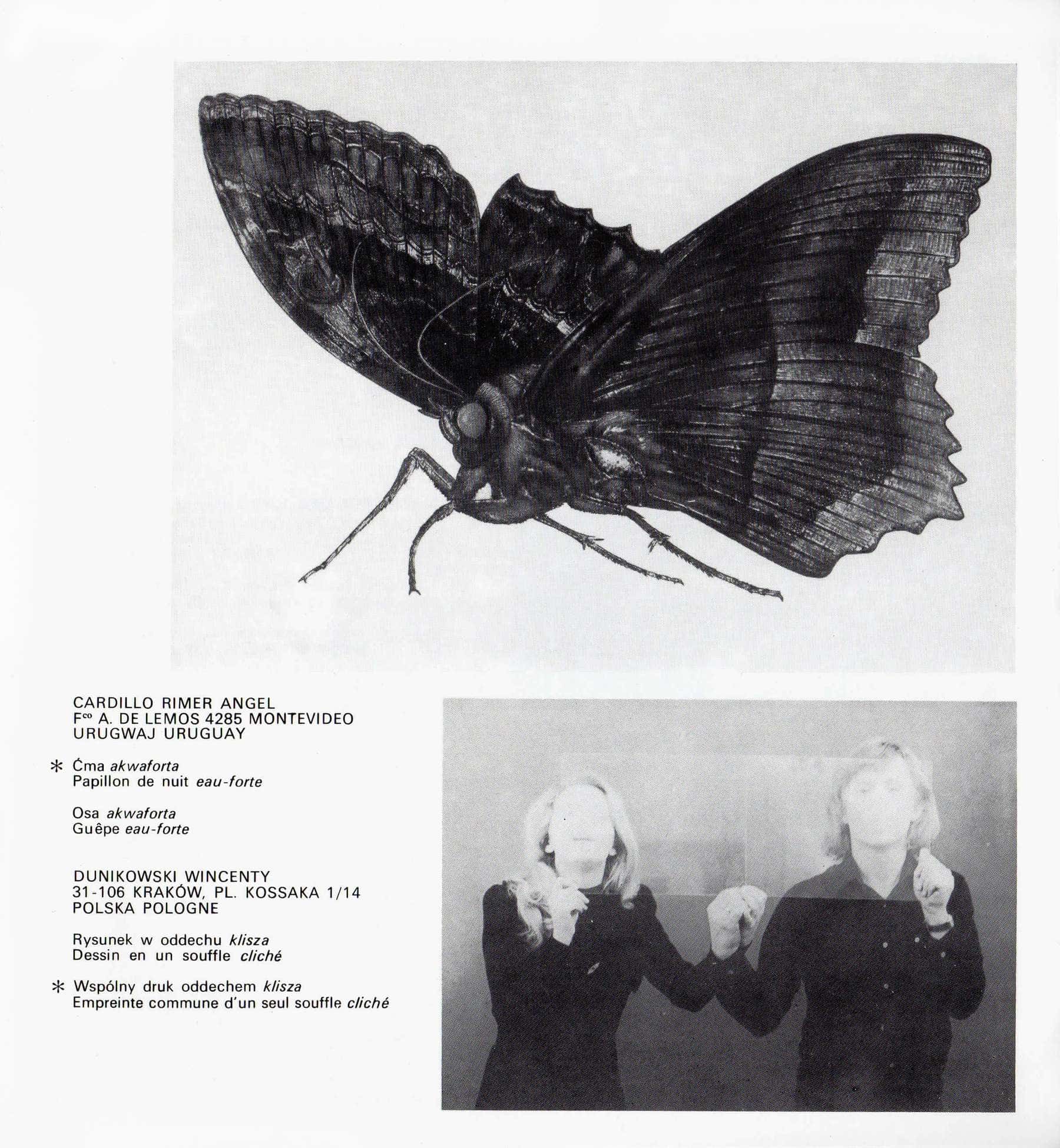 8 Międzynarodowe Biennale Grafiki w Krakowie, 1980