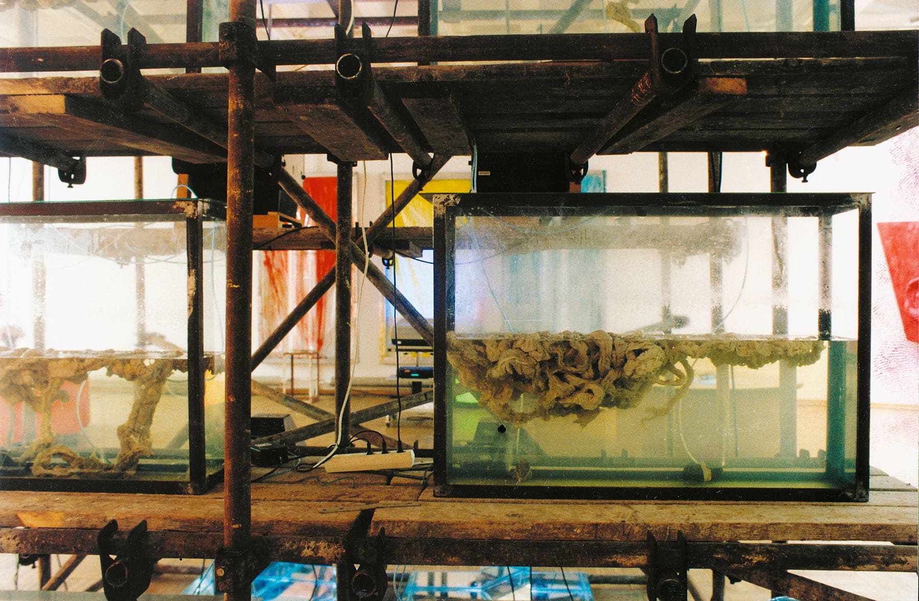 Wincenty Dunikowski-Duniko, Current Program XVIII, 1978